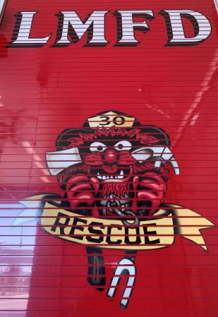 Rescue 30 Rear Roll Up Door Picture that Show a picture of the Muppet known as Animal
